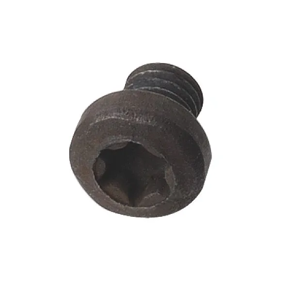 Фото Винт TORX M3,5x3,5 в интернет-магазине ToolHaus.ru